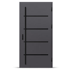 Входна врата BIENE 2